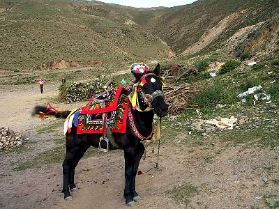Kairen's_Tibet_53_2001-09-25 16.31.03 IMG_4402G1.JPG